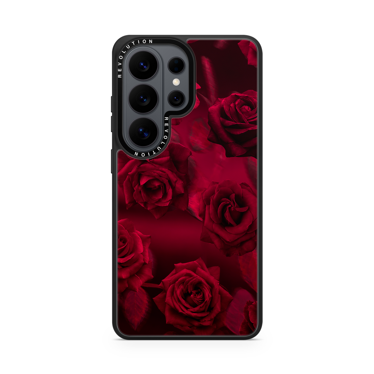 COVER SAMS ROSEE